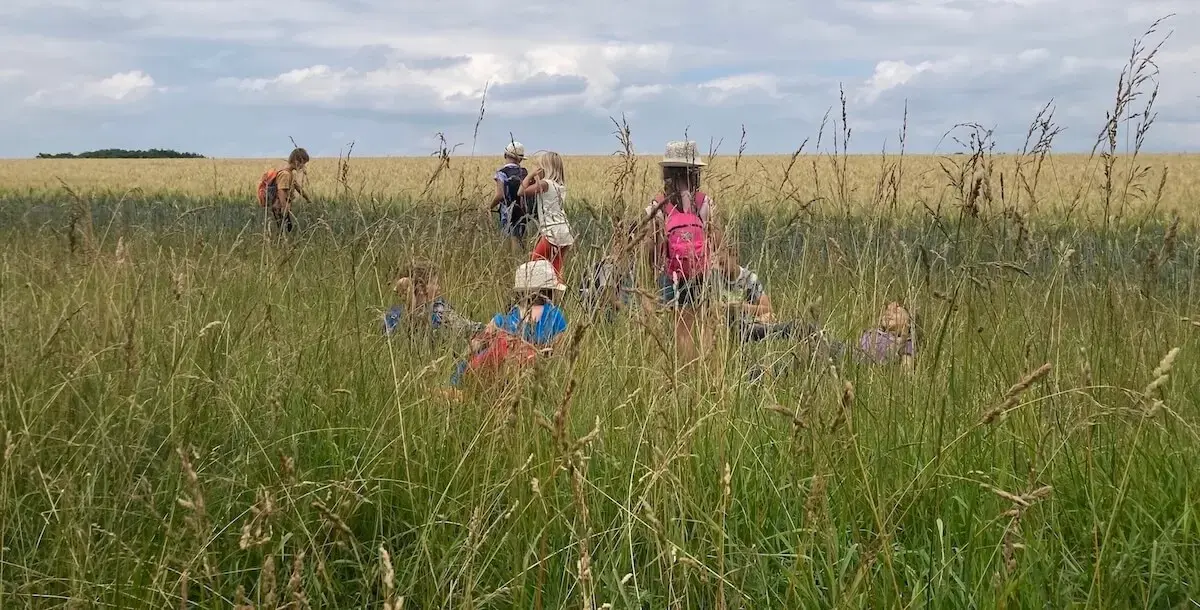 Svou cestou - Montessori škola a školka
